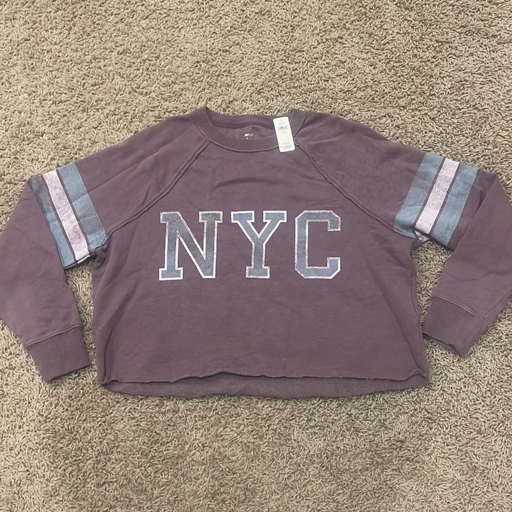 Aerie NYC oversized cropped sweatshirt - plum and aqua - size S - new with tags!